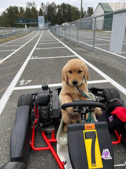 🏁 2-Day Kids Karting Beginner Introductory Academy Program Partnered with XLR8